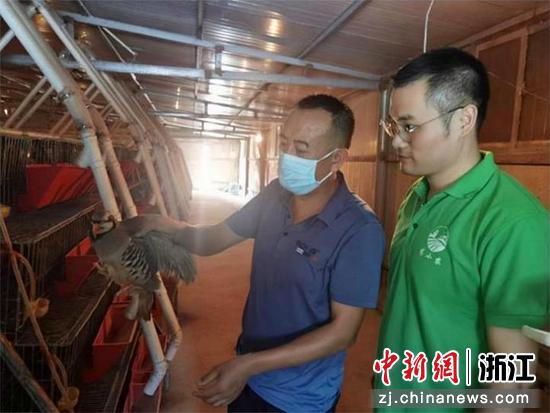 朱波(右一)指导鹧鸪养殖 365体育投注供图